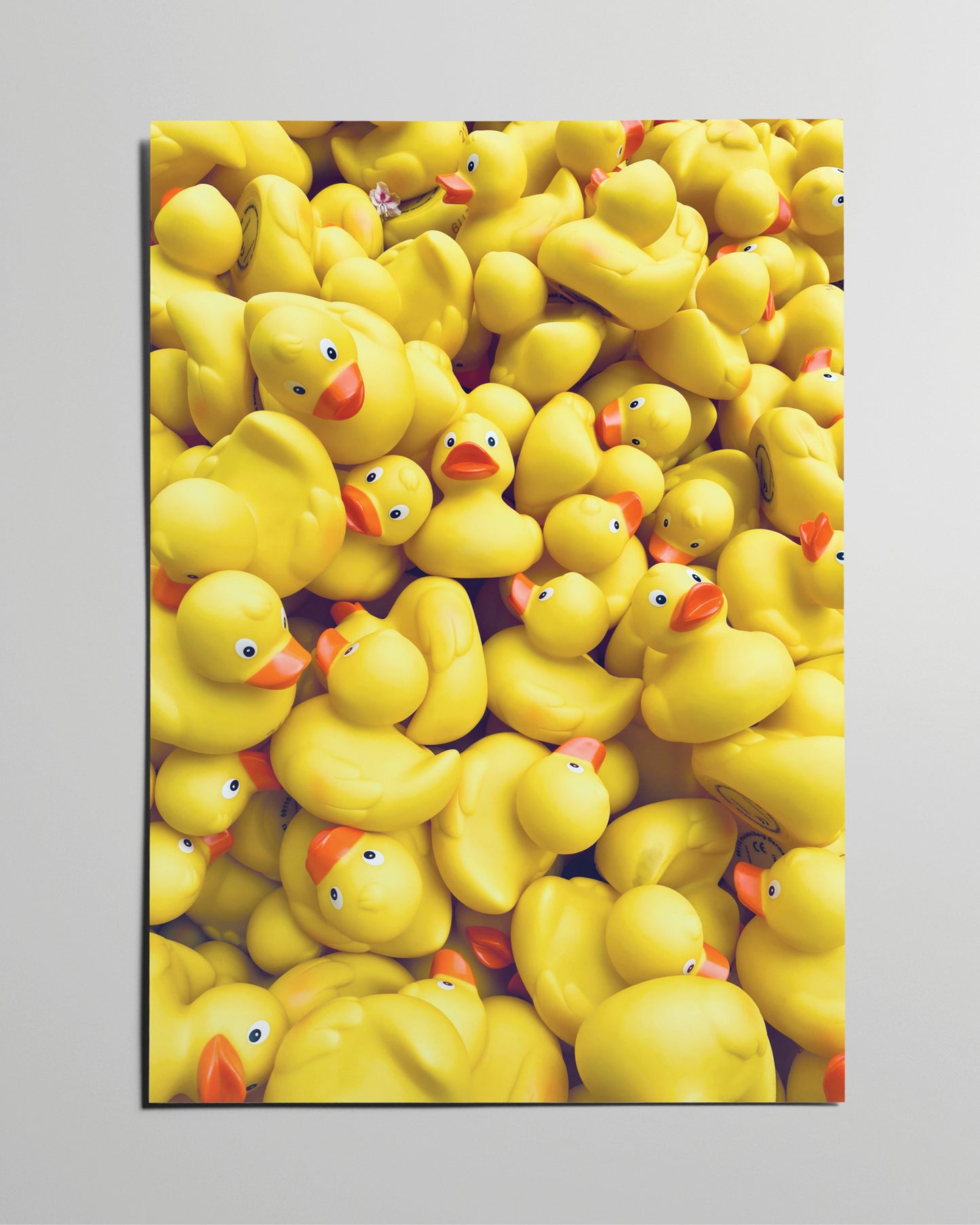 Fotokunstposter mit vielen gelben Gummienten, lebendig und humorvoll inszeniert.