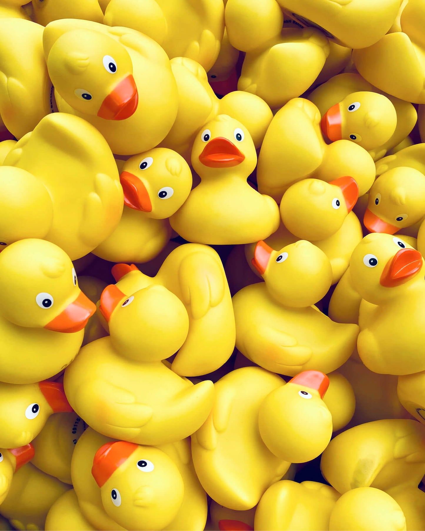 Detailaufnahme einer Ansammlung von gelben Gummienten auf dem Motiv Duck Dive.