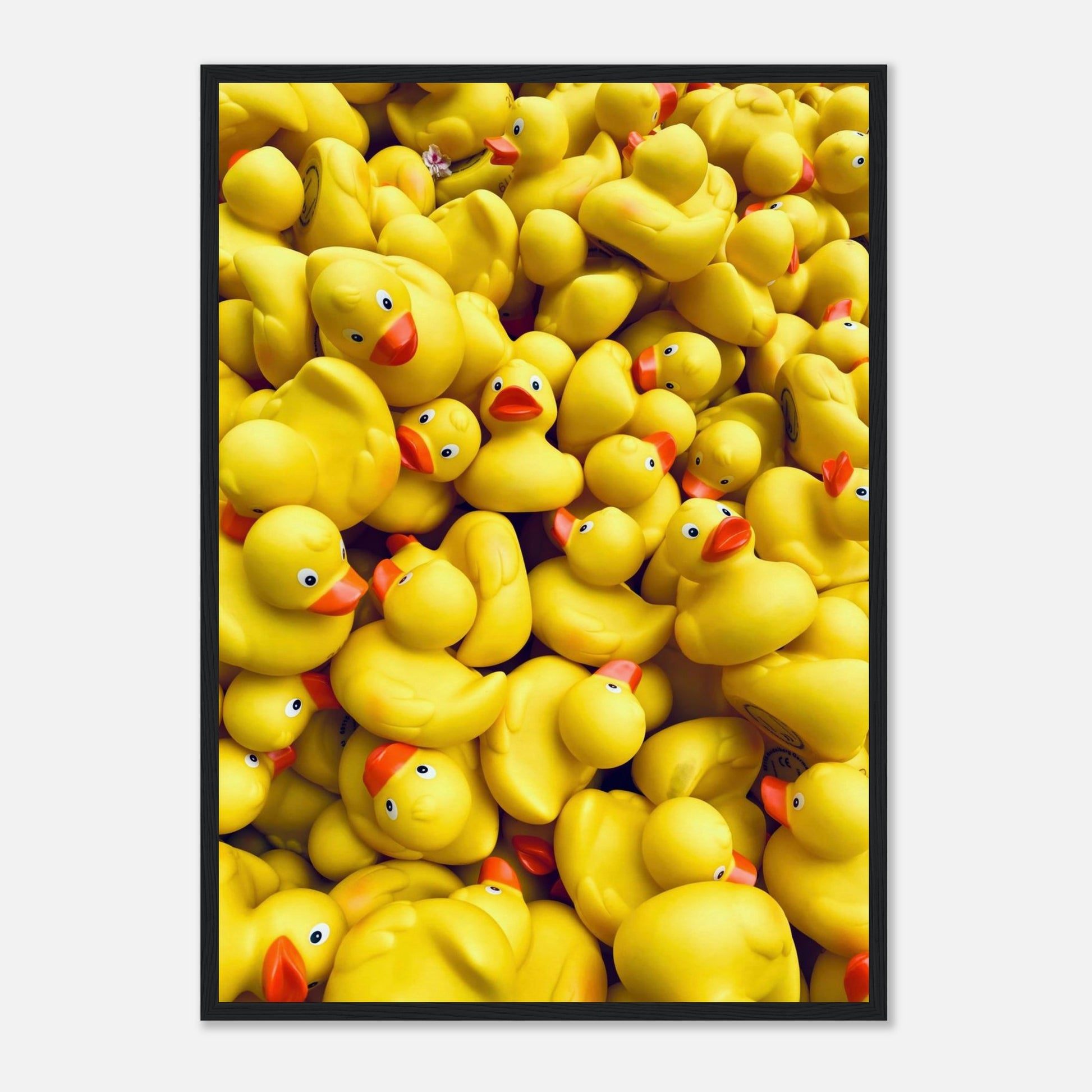 Fotografie von vielen, gelben Gummienten in einem schwarzen Holzrahmen.