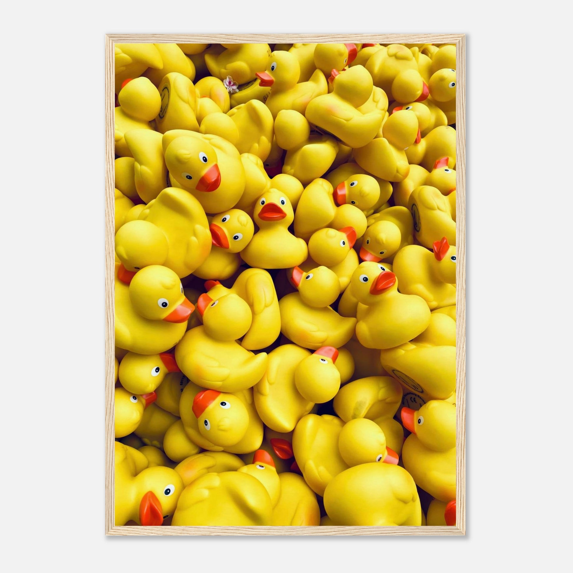 Fotografie von vielen, gelben Gummienten in einem Holzrahmen.