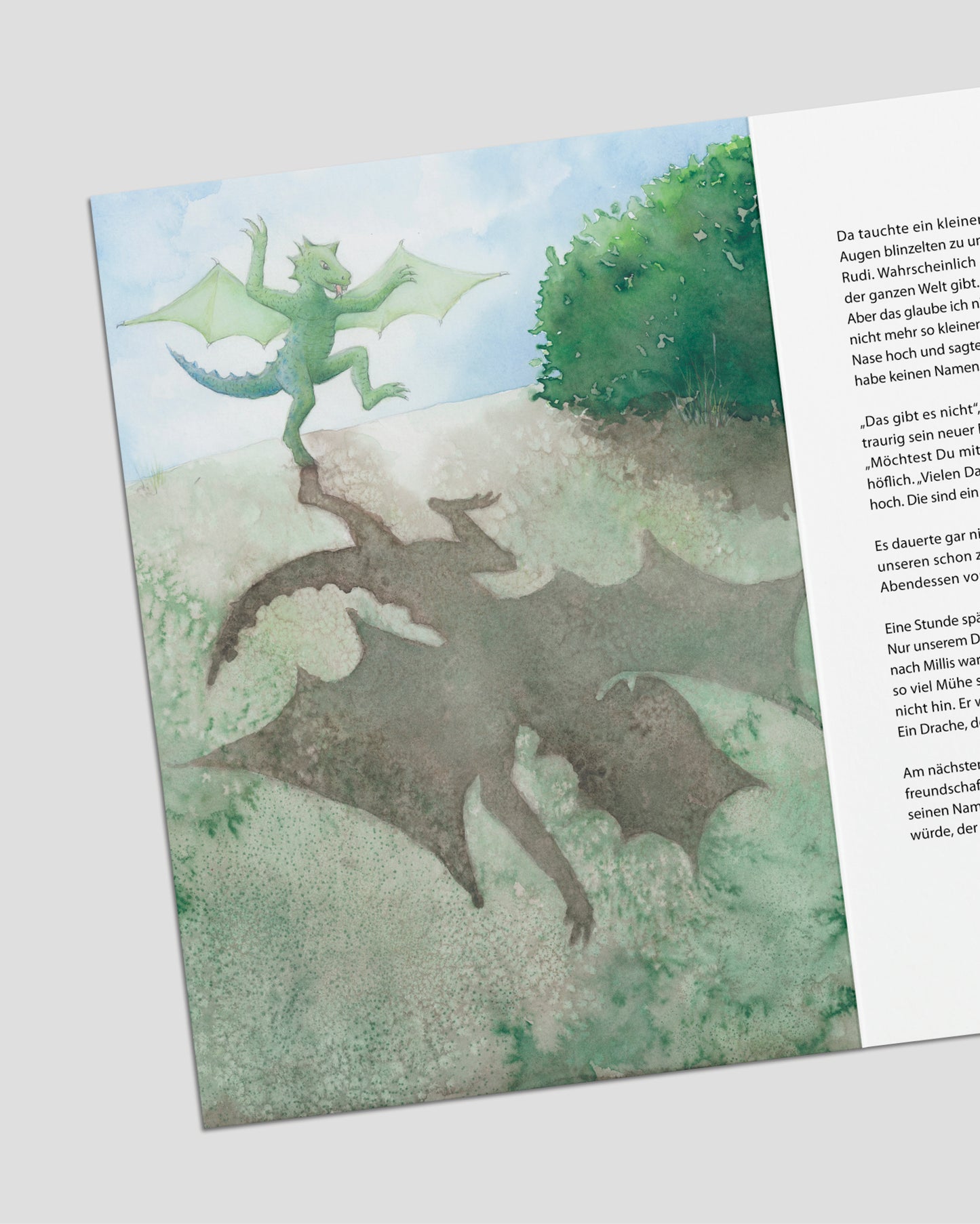 Kinderbuch | Der Drache, der seinen Namen nicht kannte