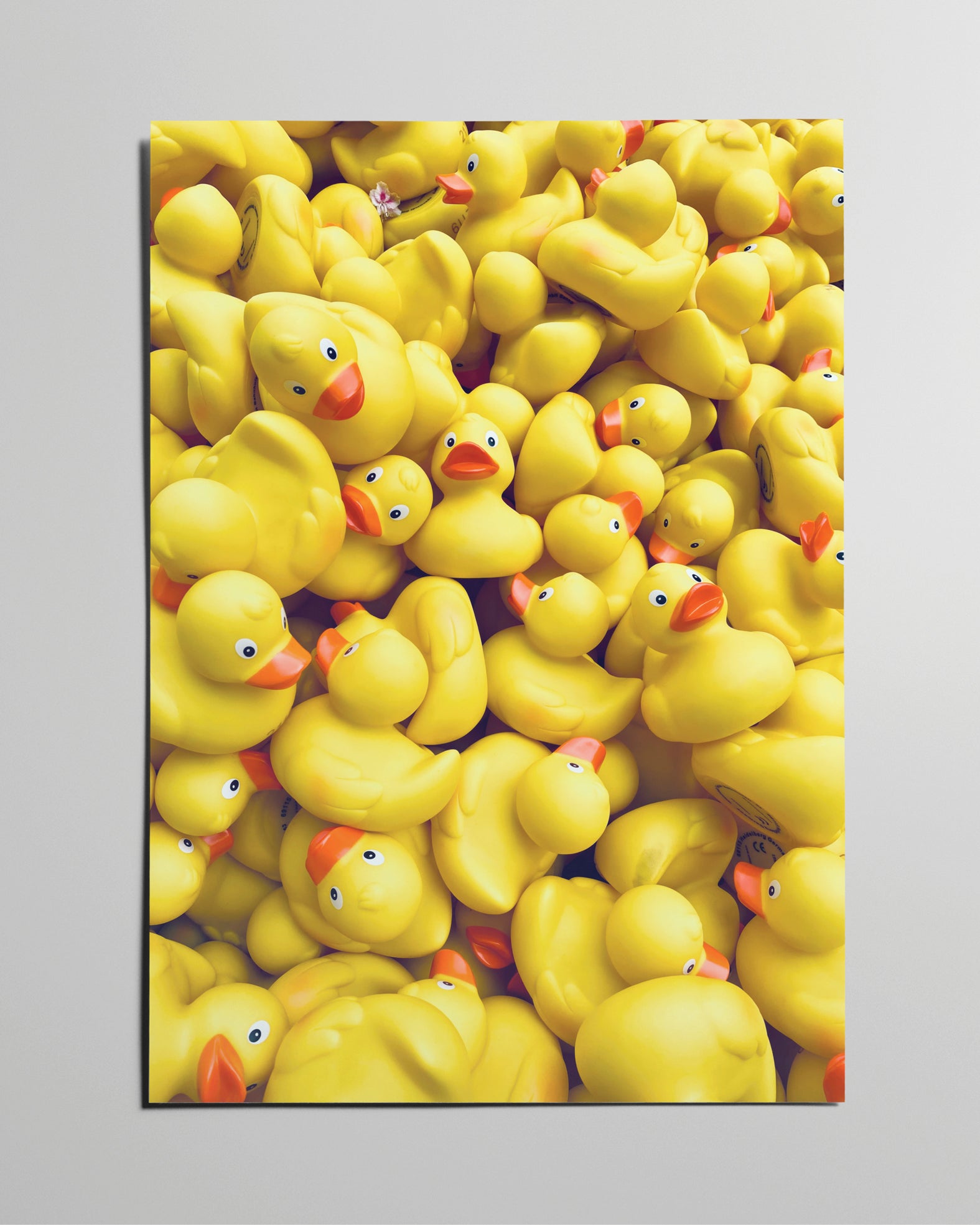 Fotokunstposter mit vielen gelben Gummienten, lebendig und humorvoll inszeniert.