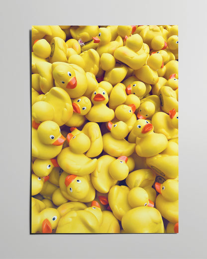 Fotokunstposter mit vielen gelben Gummienten, lebendig und humorvoll inszeniert.