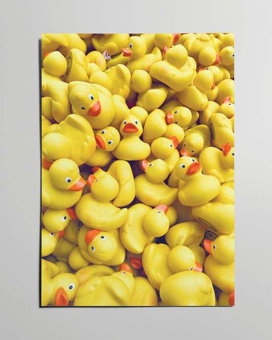 Fotokunstposter mit vielen gelben Gummienten, lebendig und humorvoll inszeniert.