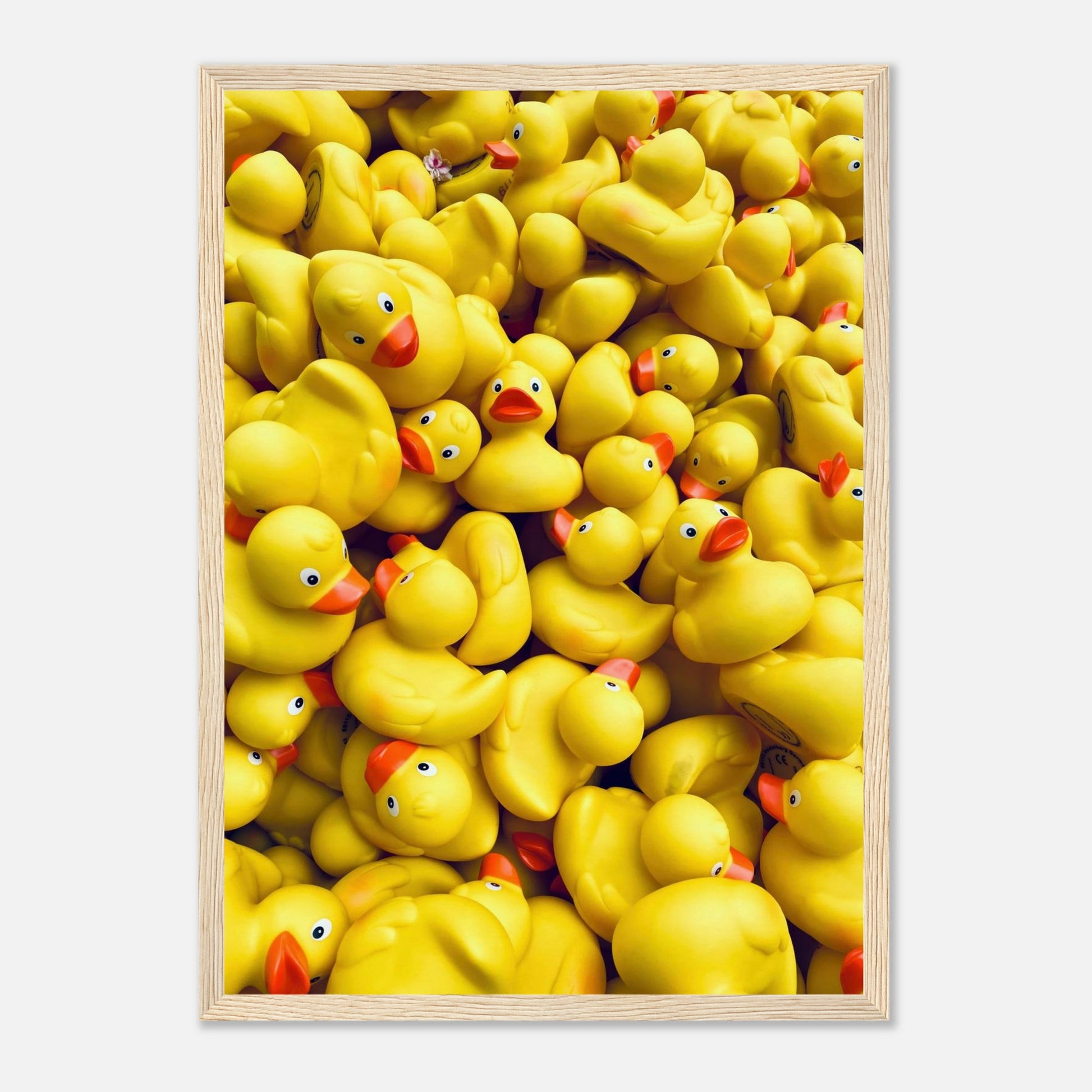 Fotografie von vielen, gelben Gummienten in einem Holzrahmen.