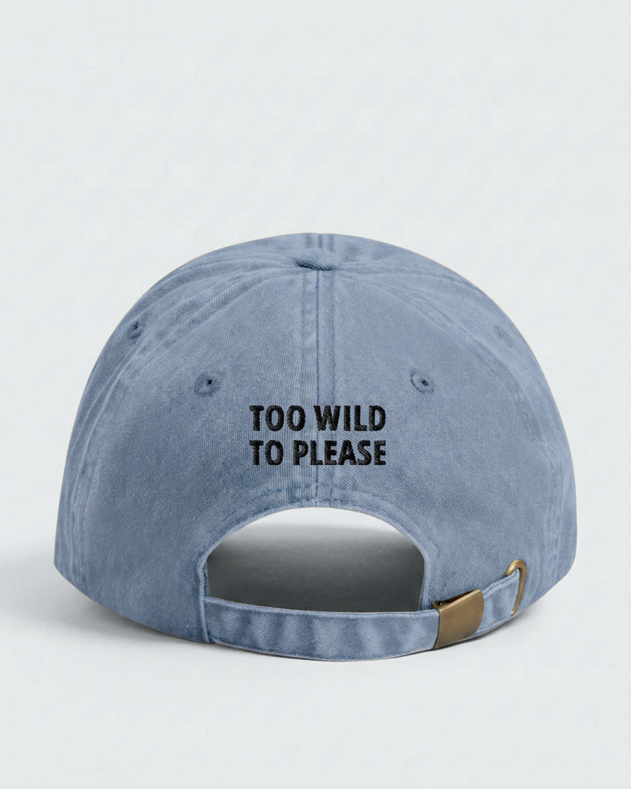 Dad Cap Too Wild To Please in Vintage Light Denim — Rückseite mit Statement