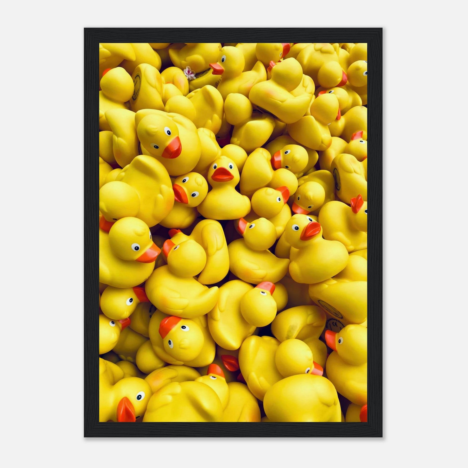 Fotografie von vielen, gelben Gummienten in einem schwarzen Holzrahmen.