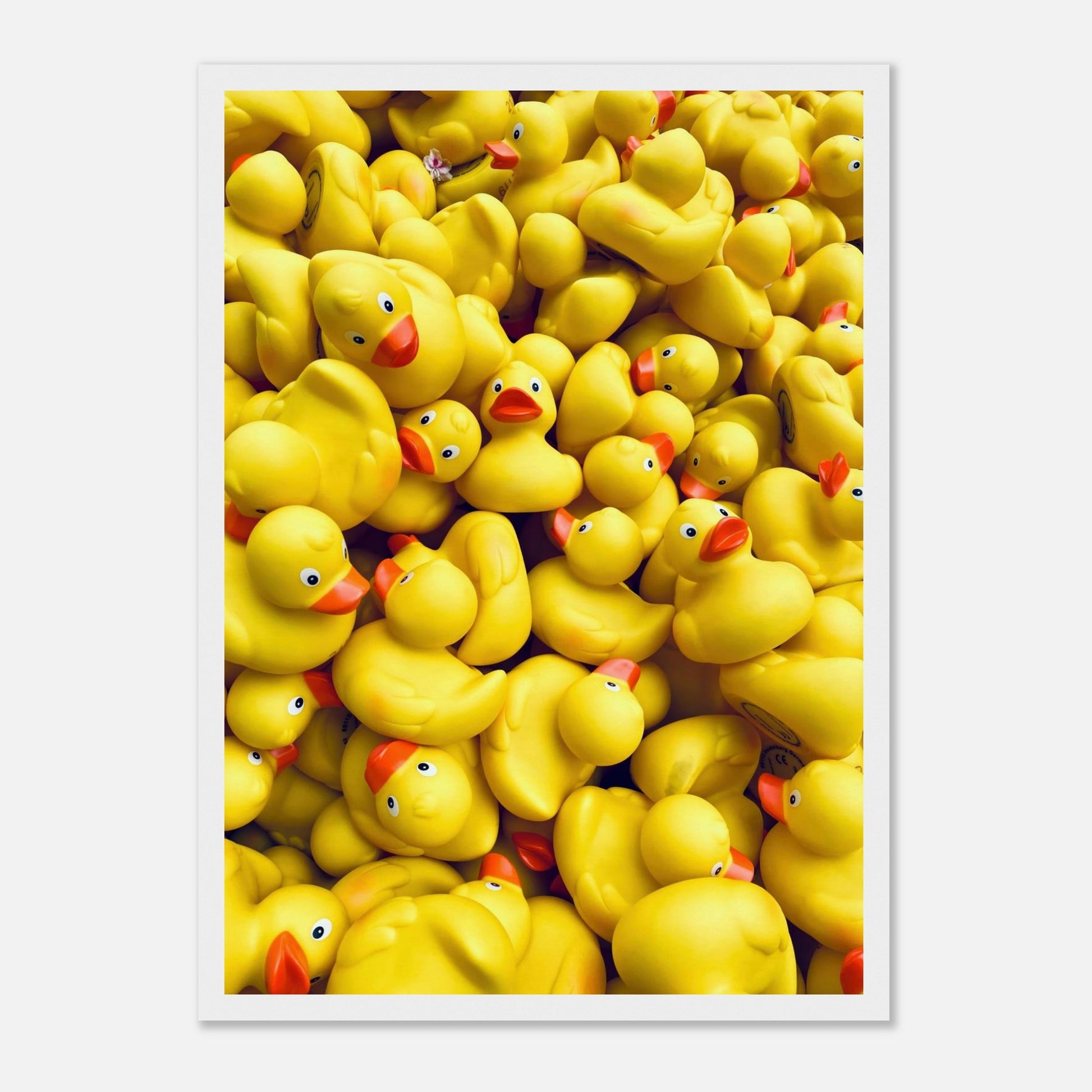 Fotografie von vielen, gelben Gummienten in einem weißen Holzrahmen.